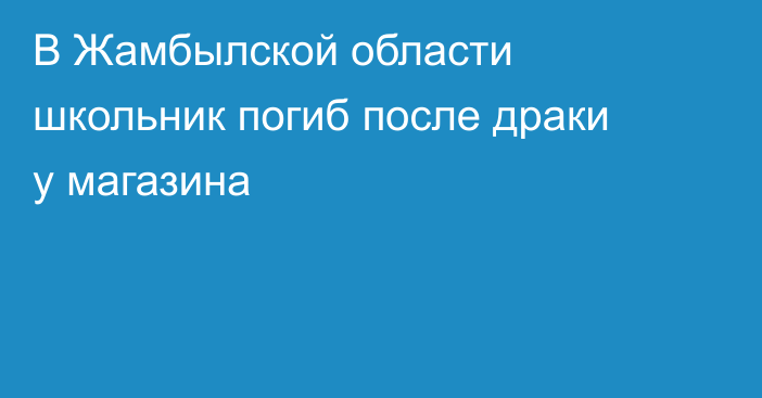 В Жамбылской области школьник погиб после драки у магазина