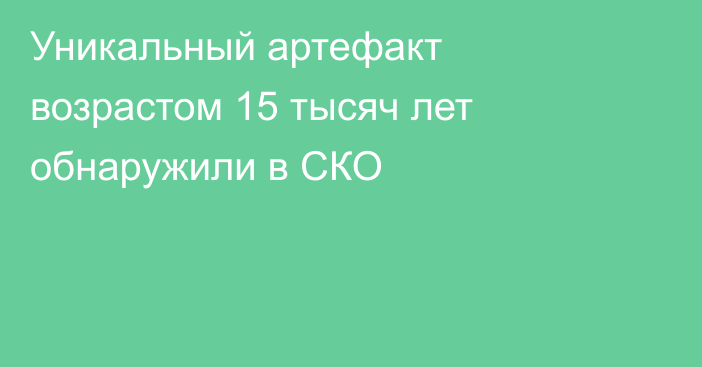 Уникальный артефакт возрастом 15 тысяч лет обнаружили в СКО