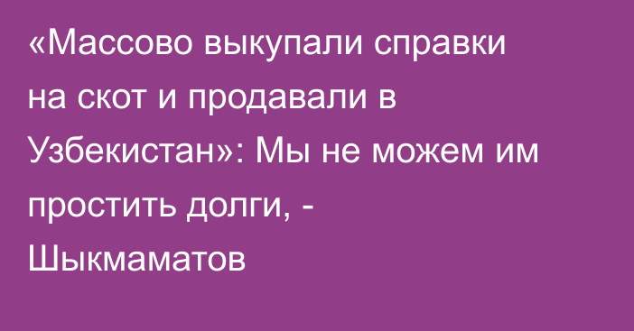 «Массово выкупали справки на скот и продавали в Узбекистан»: Мы не можем им простить долги, - Шыкмаматов