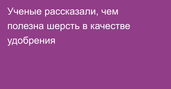 Ученые рассказали, чем полезна шерсть в качестве удобрения