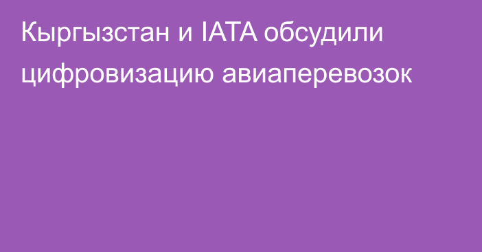 Кыргызстан и IATA обсудили цифровизацию авиаперевозок