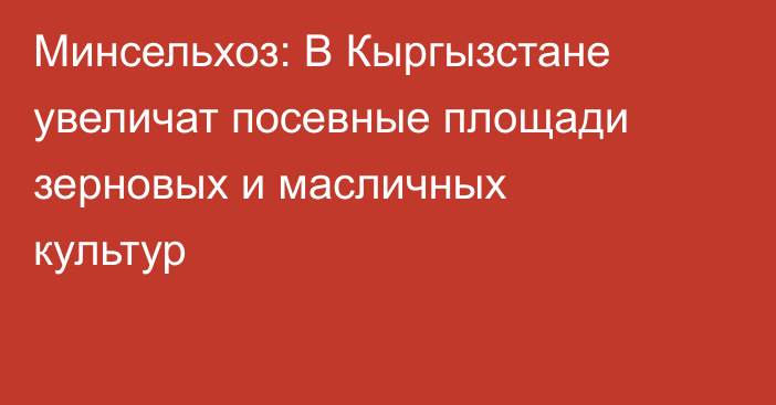 Минсельхоз: В Кыргызстане увеличат посевные площади зерновых и масличных культур