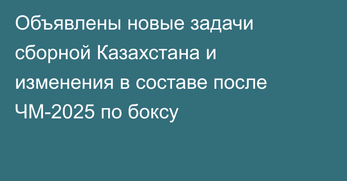Объявлены новые задачи сборной Казахстана и изменения в составе после ЧМ-2025 по боксу