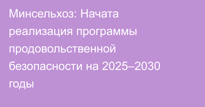 Минсельхоз: Начата реализация программы продовольственной безопасности на 2025–2030 годы