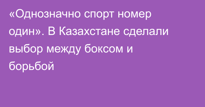 «Однозначно спорт номер один». В Казахстане сделали выбор между боксом и борьбой