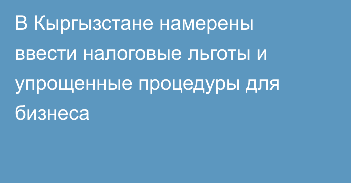 В Кыргызстане намерены ввести налоговые льготы и упрощенные процедуры для бизнеса