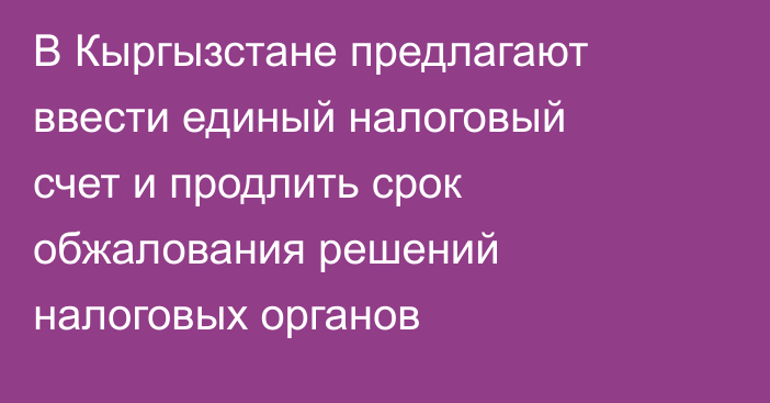 В Кыргызстане предлагают ввести единый налоговый счет и продлить срок обжалования решений налоговых органов