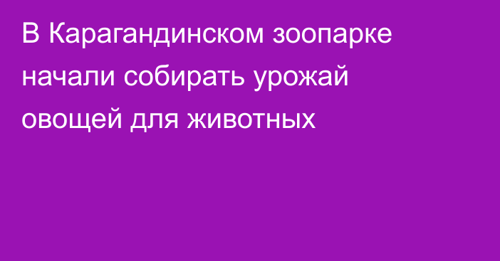 В Карагандинском зоопарке начали собирать урожай овощей для животных