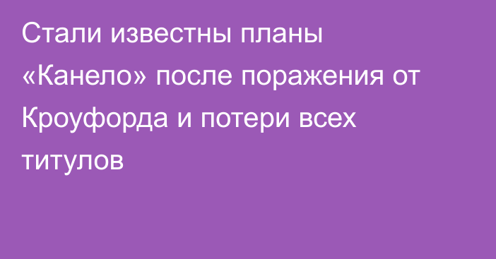 Стали известны планы «Канело» после поражения от Кроуфорда и потери всех титулов