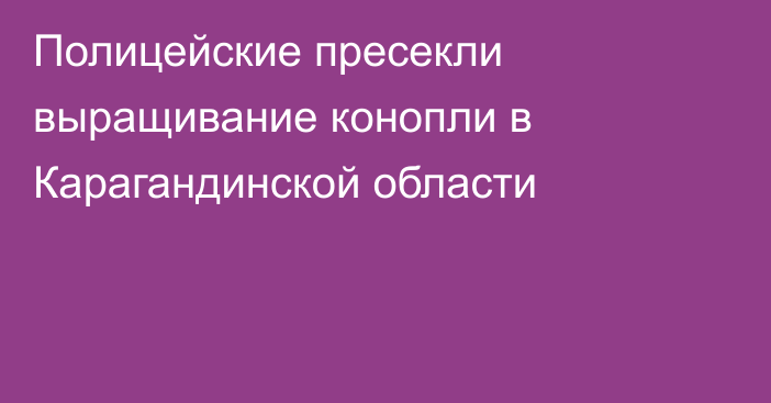 Полицейские пресекли выращивание конопли в Карагандинской области