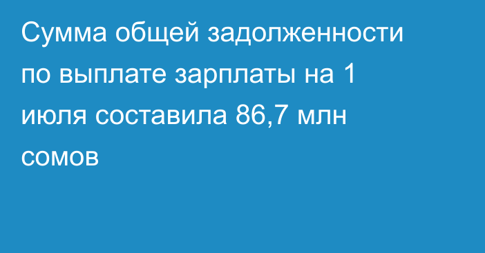 Сумма общей задолженности по выплате зарплаты на 1 июля составила 86,7 млн сомов