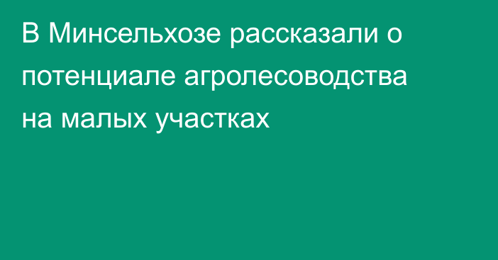 В Минсельхозе рассказали о потенциале агролесоводства на малых участках