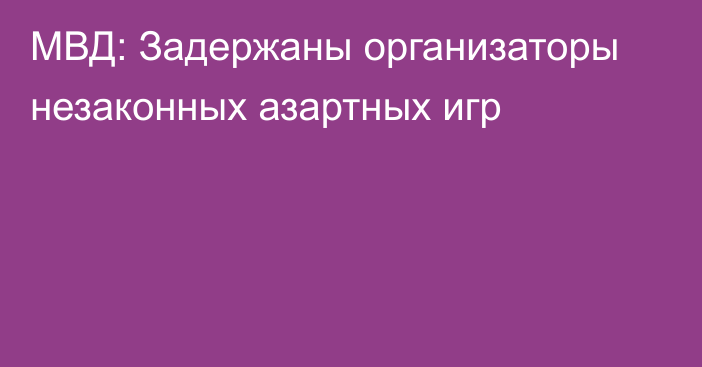МВД: Задержаны организаторы незаконных азартных игр