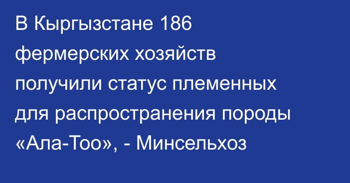 В Кыргызстане 186 фермерских хозяйств получили статус племенных для распространения породы «Ала-Тоо», - Минсельхоз