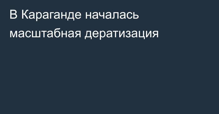 В Караганде началась масштабная дератизация