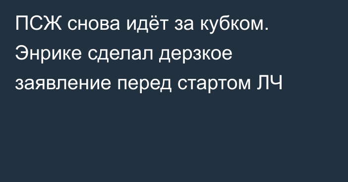 ПСЖ снова идёт за кубком. Энрике сделал дерзкое заявление перед стартом ЛЧ