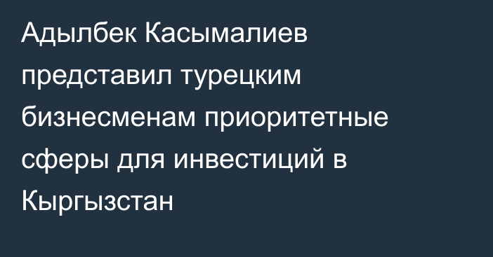 Адылбек Касымалиев представил турецким бизнесменам  приоритетные сферы для инвестиций в Кыргызстан