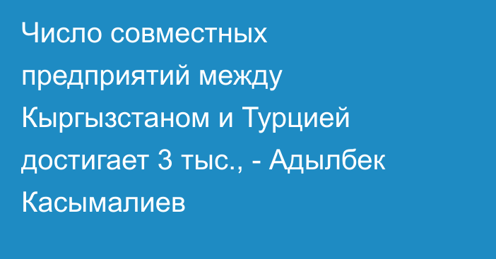 Число совместных предприятий между Кыргызстаном и Турцией достигает 3 тыс., - Адылбек Касымалиев