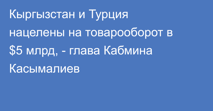 Кыргызстан и Турция нацелены на товарооборот в $5 млрд, - глава Кабмина Касымалиев