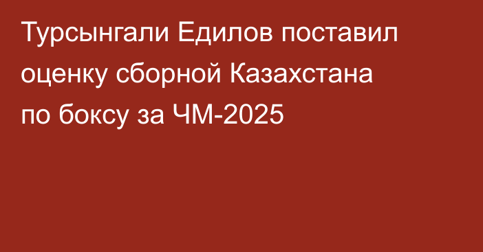 Турсынгали Едилов поставил оценку сборной Казахстана по боксу за ЧМ-2025
