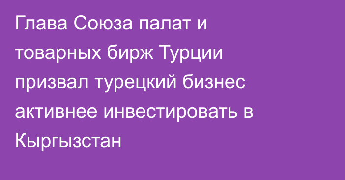 Глава Союза палат и товарных бирж Турции призвал турецкий бизнес активнее инвестировать в Кыргызстан