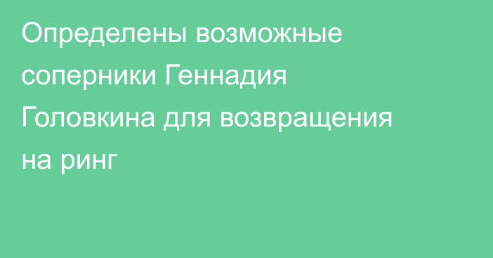 Определены возможные соперники Геннадия Головкина для возвращения на ринг