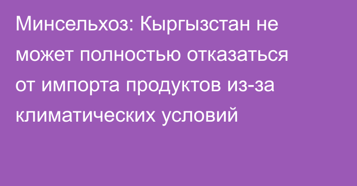 Минсельхоз: Кыргызстан не может полностью отказаться от импорта продуктов из-за климатических условий