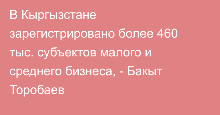 В Кыргызстане зарегистрировано более 460 тыс. субъектов малого и среднего бизнеса, - Бакыт Торобаев