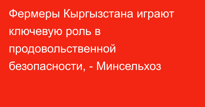 Фермеры Кыргызстана играют ключевую роль в продовольственной безопасности, - Минсельхоз
