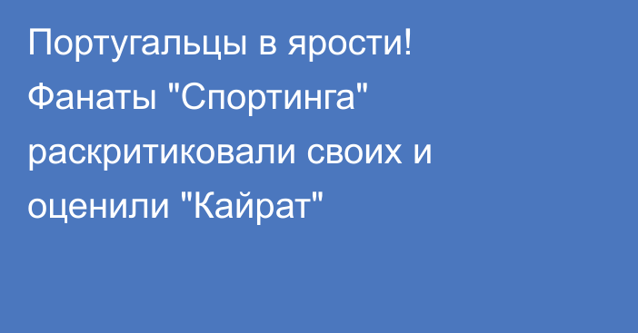 Португальцы в ярости! Фанаты 