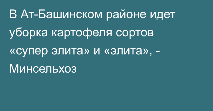 В Ат-Башинском районе идет уборка картофеля сортов «супер элита» и «элита»,  - Минсельхоз