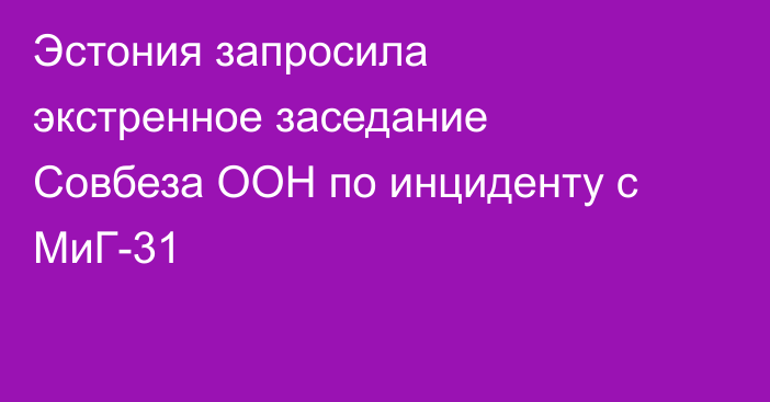 Эстония запросила экстренное заседание Совбеза ООН по инциденту с МиГ-31