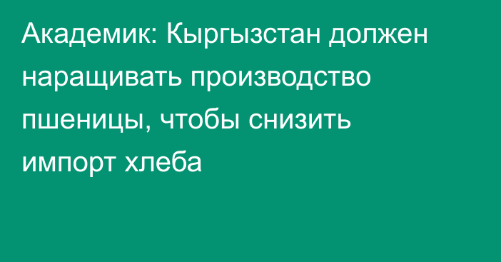 Академик: Кыргызстан должен наращивать производство пшеницы, чтобы снизить импорт хлеба