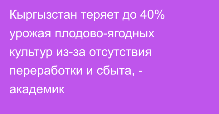 Кыргызстан теряет до 40% урожая плодово-ягодных культур из-за отсутствия переработки и сбыта, - академик