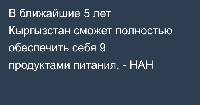 В ближайшие 5 лет Кыргызстан сможет полностью обеспечить себя 9 продуктами питания, - НАН
