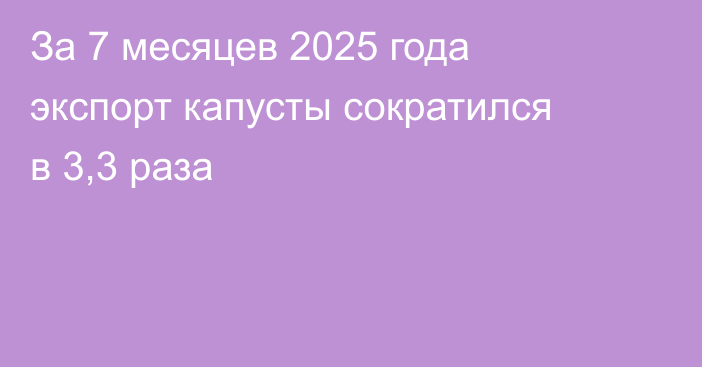 За 7 месяцев 2025 года экспорт капусты сократился в 3,3 раза