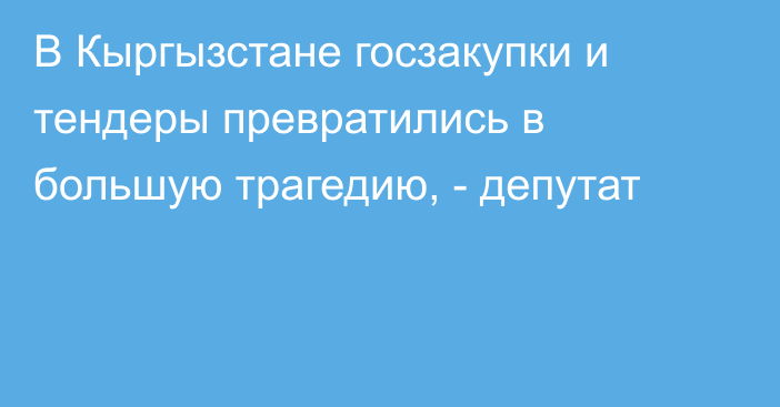 В Кыргызстане госзакупки и тендеры превратились в большую трагедию, - депутат