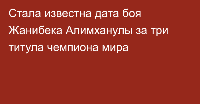 Стала известна дата боя Жанибека Алимханулы за три титула чемпиона мира
