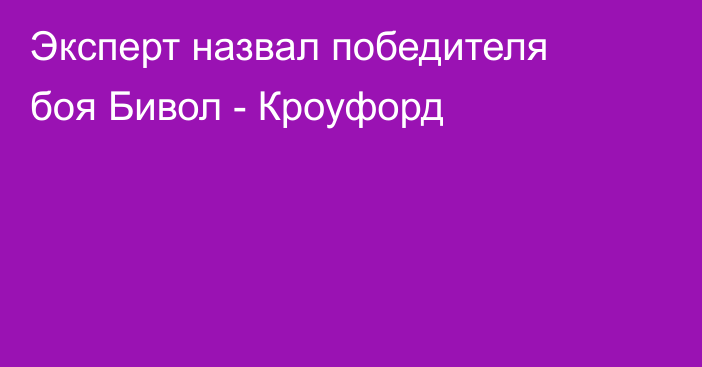 Эксперт назвал победителя боя Бивол - Кроуфорд