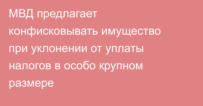 МВД предлагает конфисковывать имущество при уклонении от уплаты налогов в особо крупном размере
