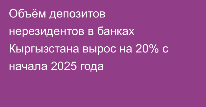 Объём депозитов нерезидентов в банках Кыргызстана вырос на 20% с начала 2025 года