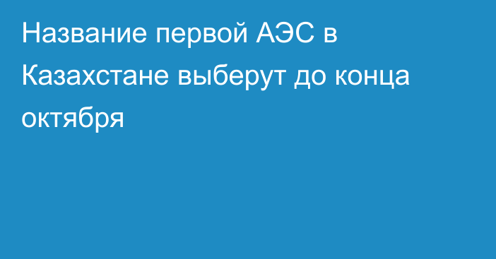 Название первой АЭС в Казахстане выберут до конца октября