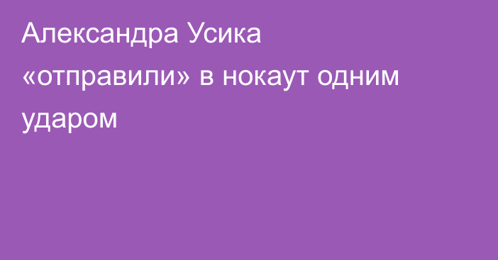 Александра Усика «отправили» в нокаут одним ударом