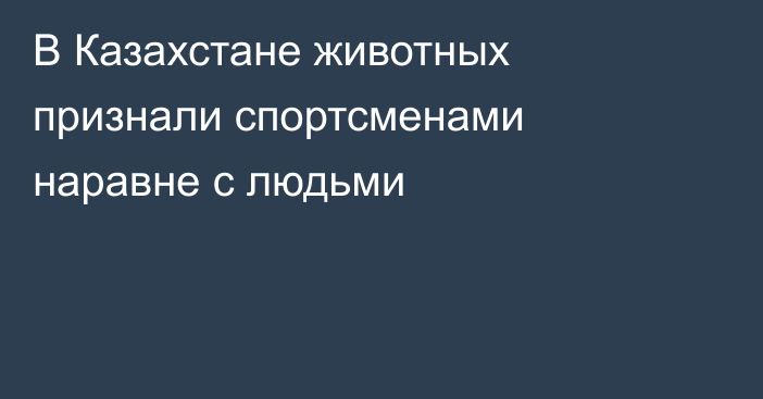 В Казахстане животных признали спортсменами наравне с людьми