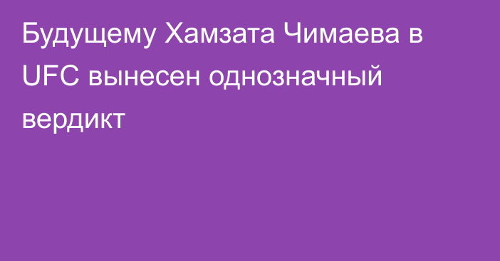 Будущему Хамзата Чимаева в UFC вынесен однозначный вердикт