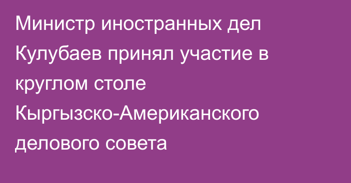 Министр иностранных дел Кулубаев принял участие в круглом столе Кыргызско-Американского делового совета