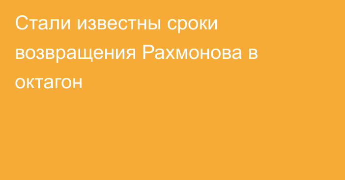 Стали известны сроки возвращения Рахмонова в октагон