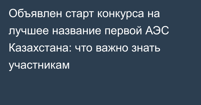 Объявлен старт конкурса на лучшее название первой АЭС Казахстана: что важно знать участникам