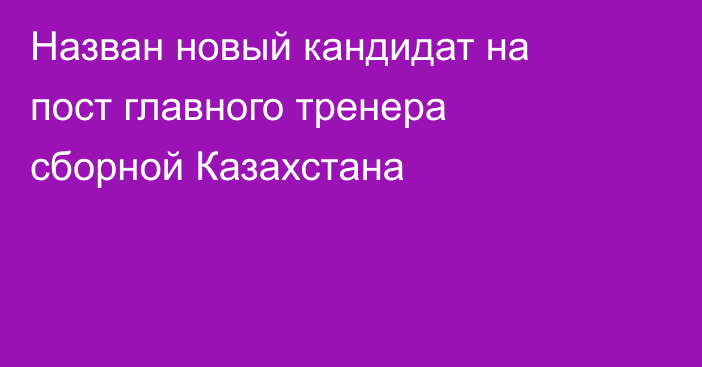 Назван новый кандидат на пост главного тренера сборной Казахстана