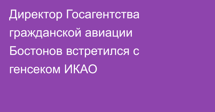 Директор Госагентства гражданской авиации Бостонов встретился с генсеком ИКАО